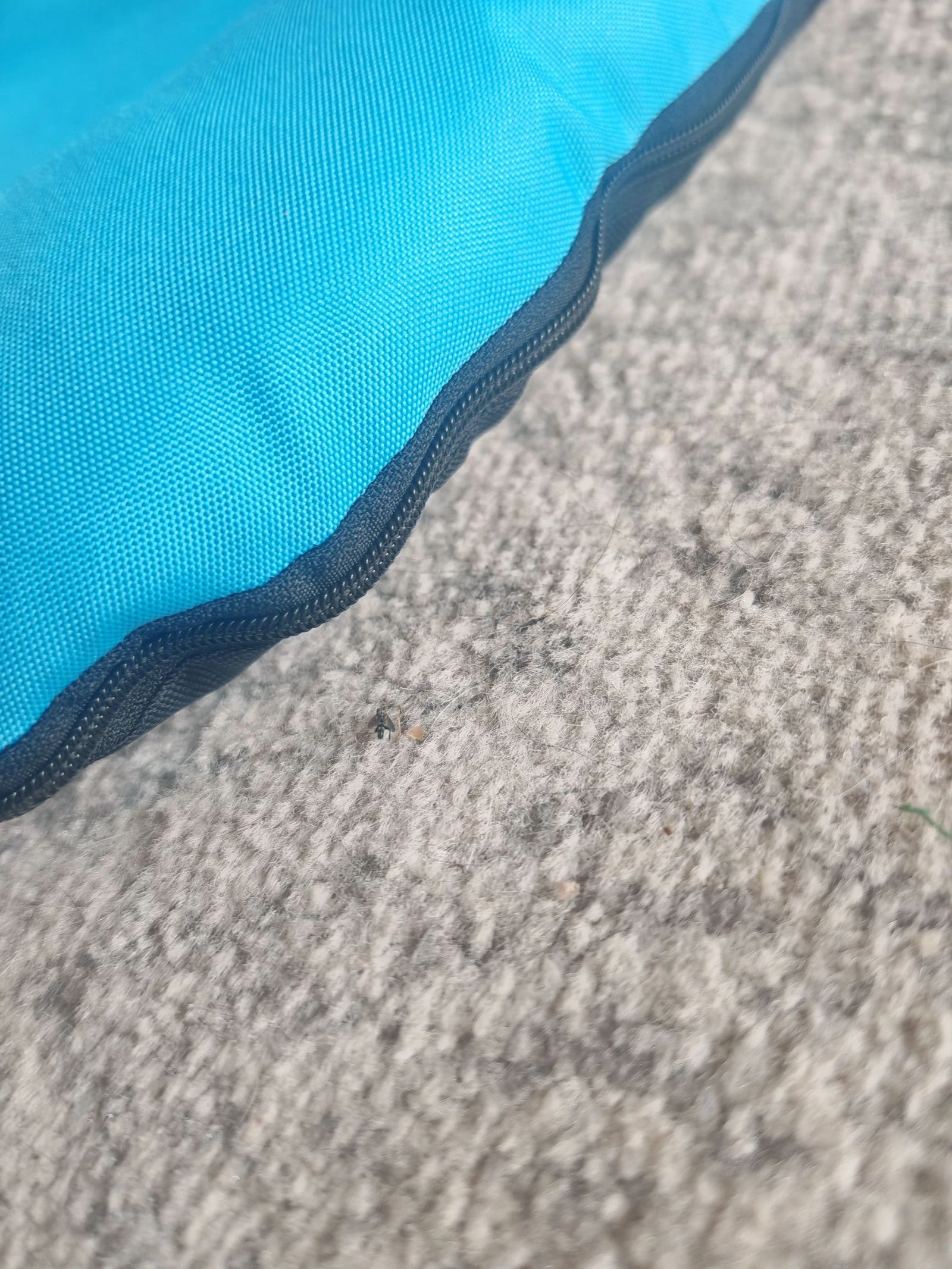 cama perro impermeable  – photo 6